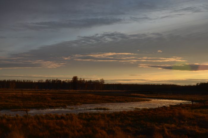Якутия, Алданское нагорье. Огромные территории покрыты болотами